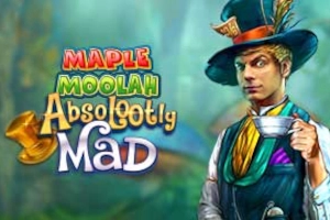 24414 absolootly mad maple moolah